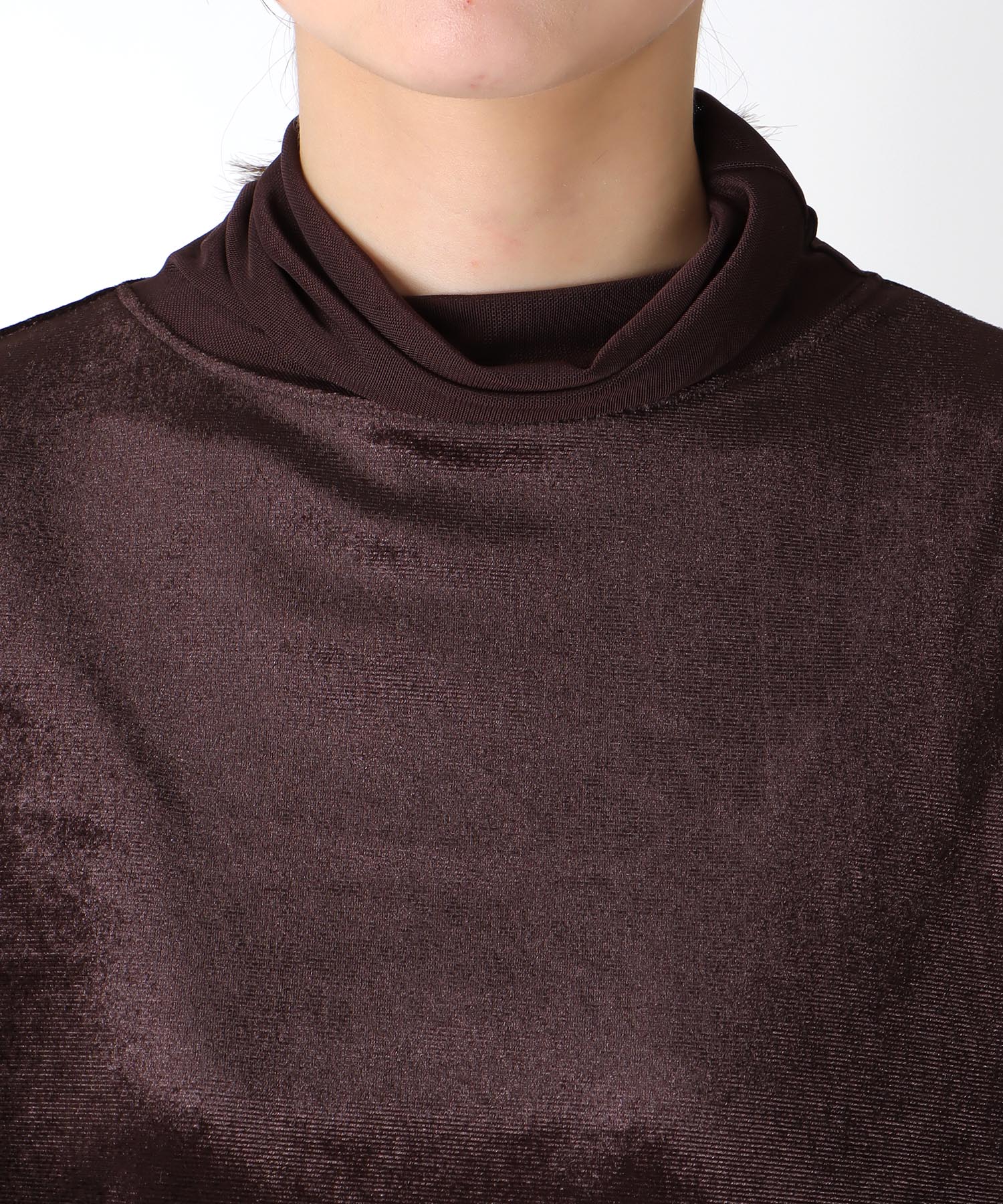 カットベロアタートル