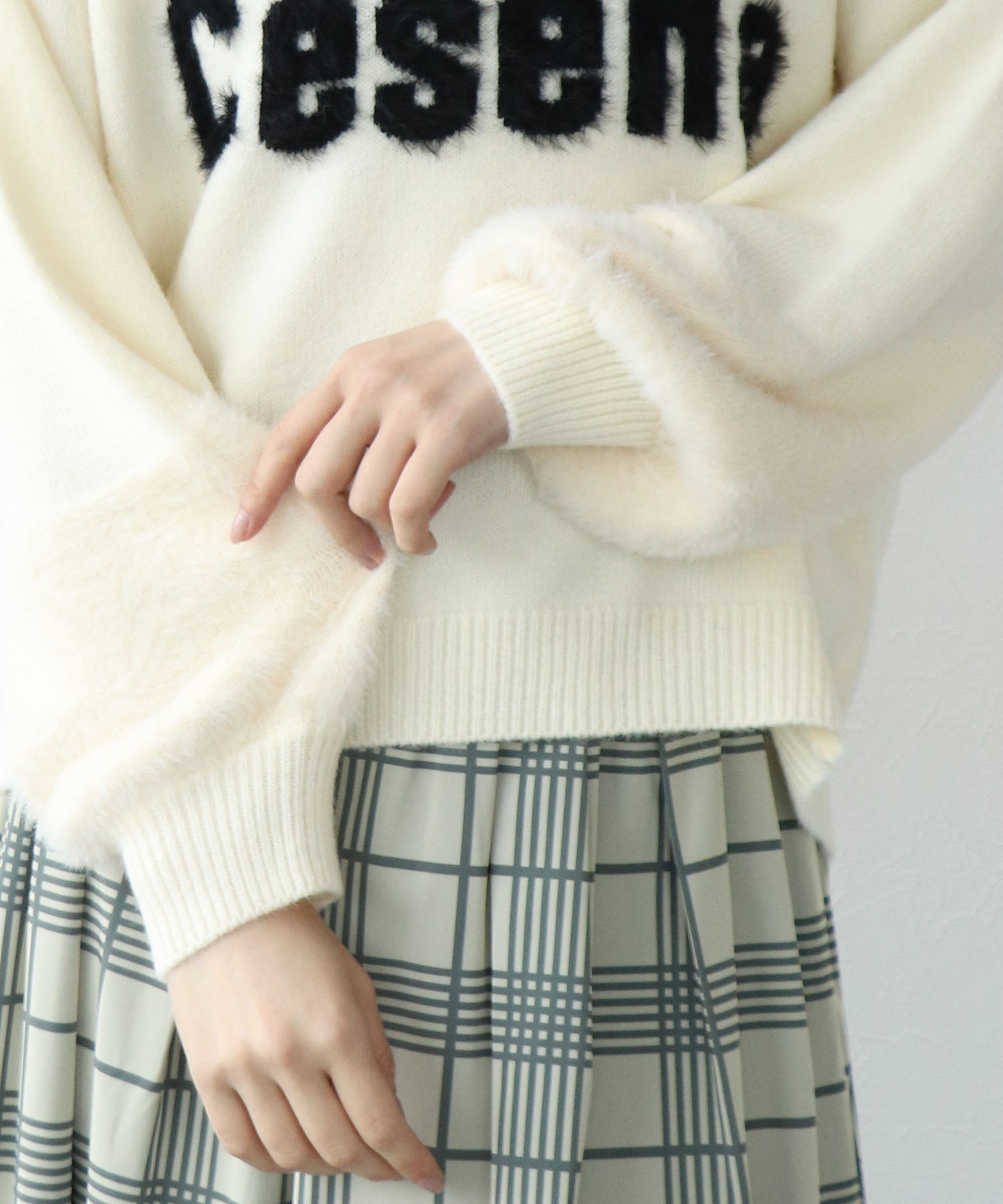 フェザーロゴニット