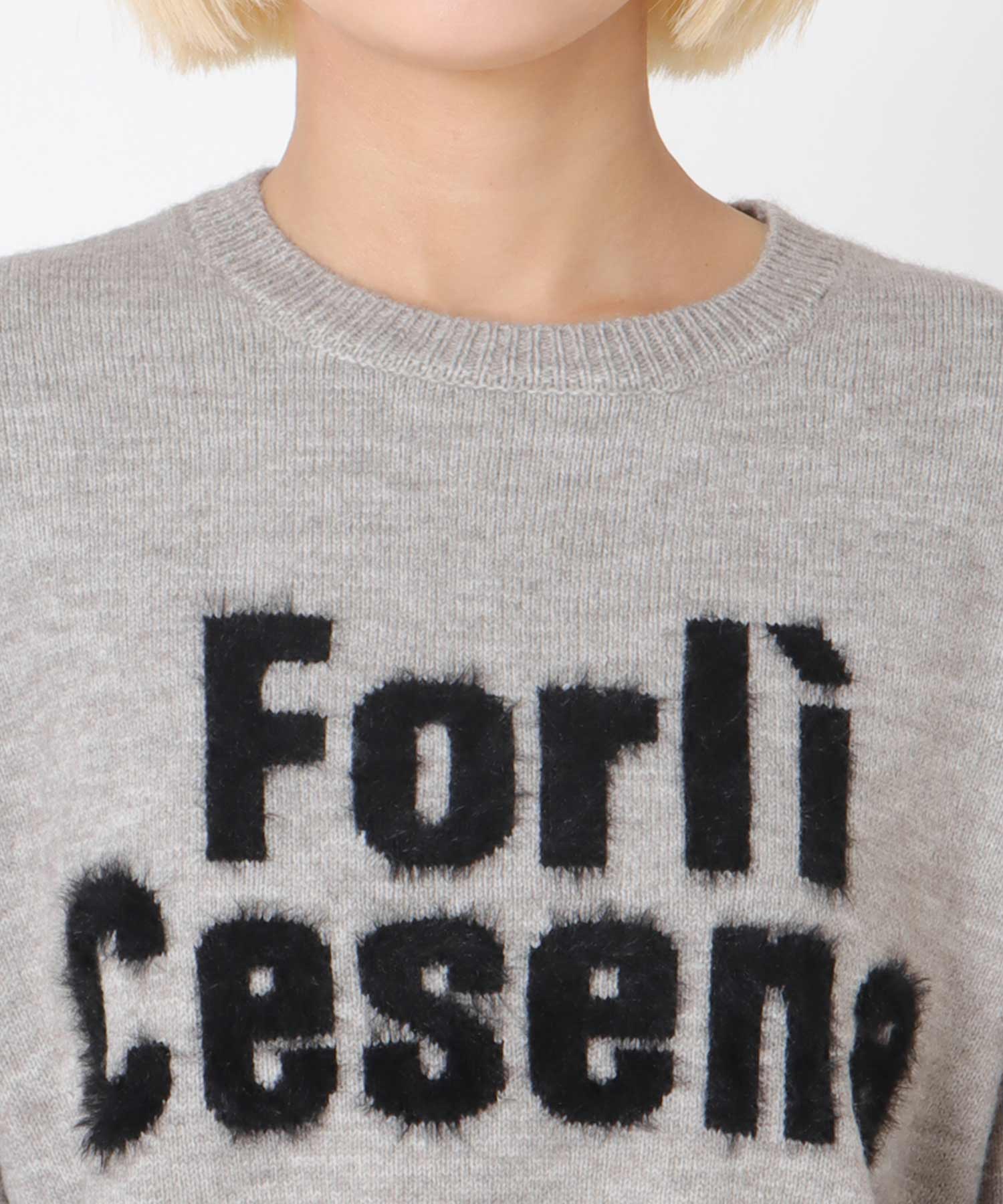 フェザーロゴニット