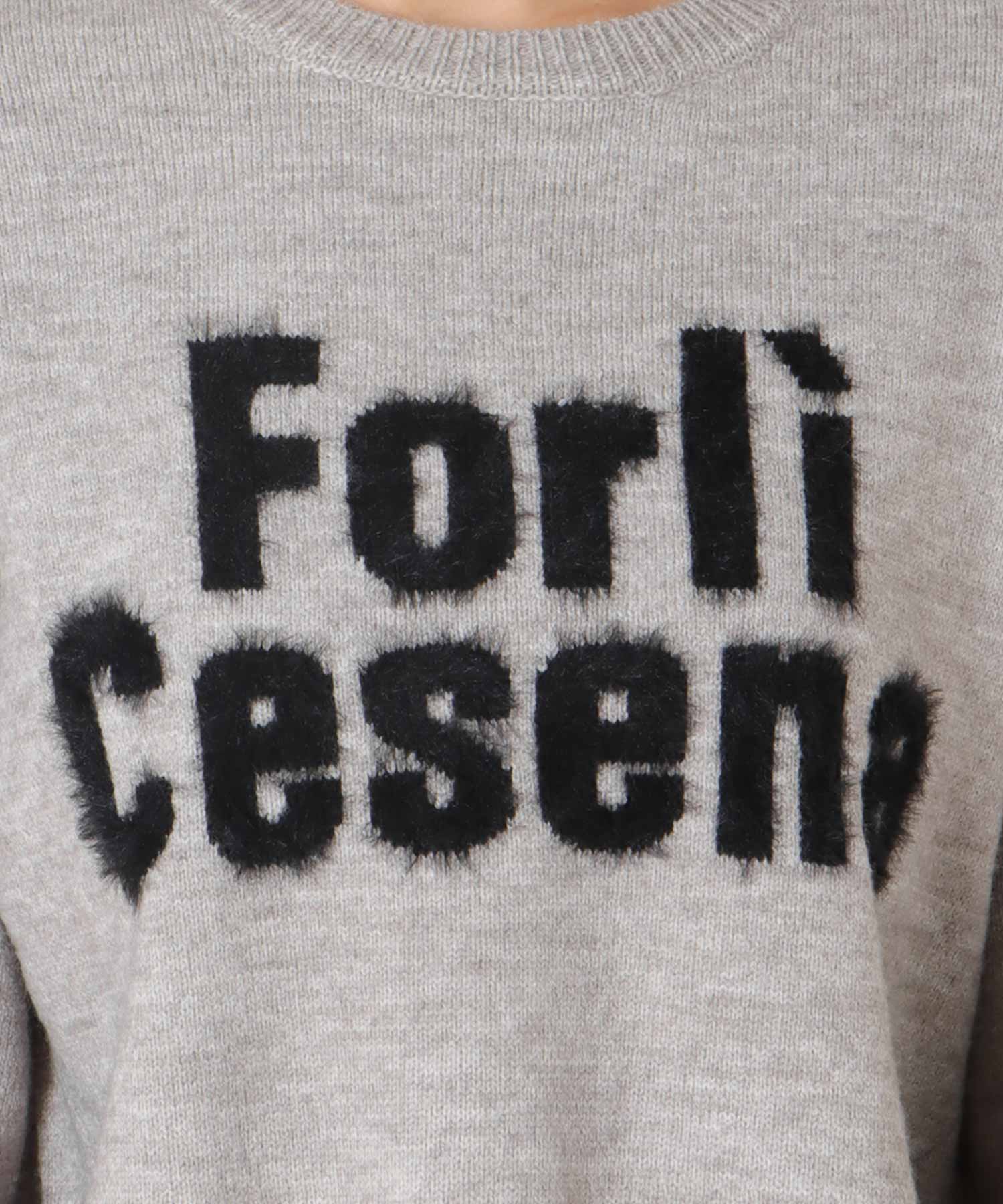 フェザーロゴニット