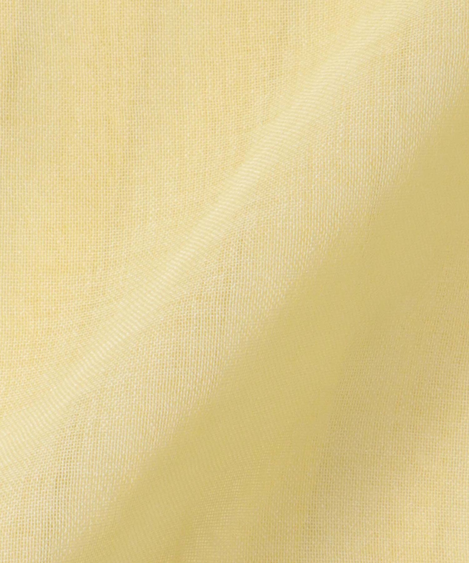 〔お家で試着〕シアーリネンライクバックプリーツシャツ