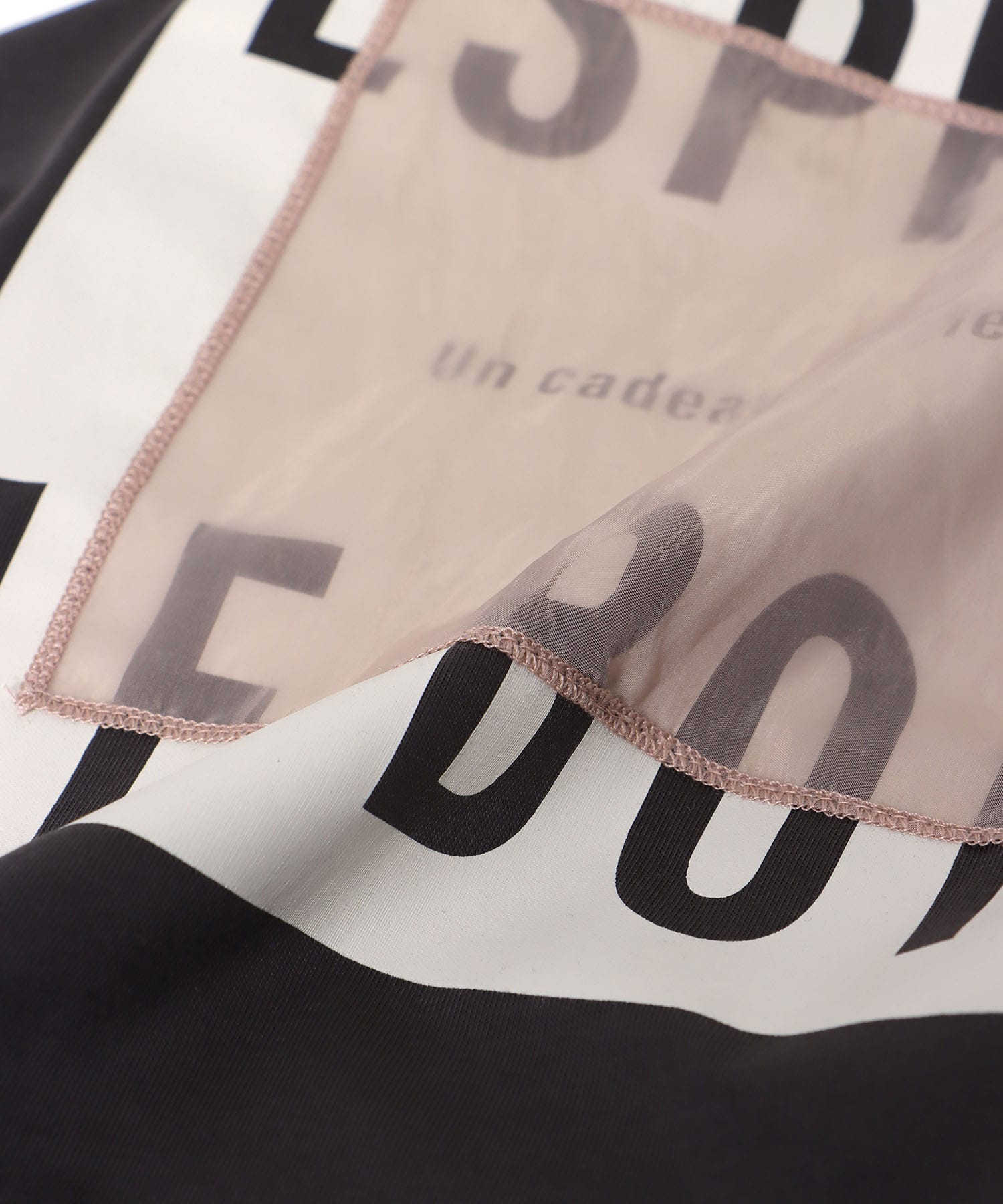 オーガンジーロゴTシャツ