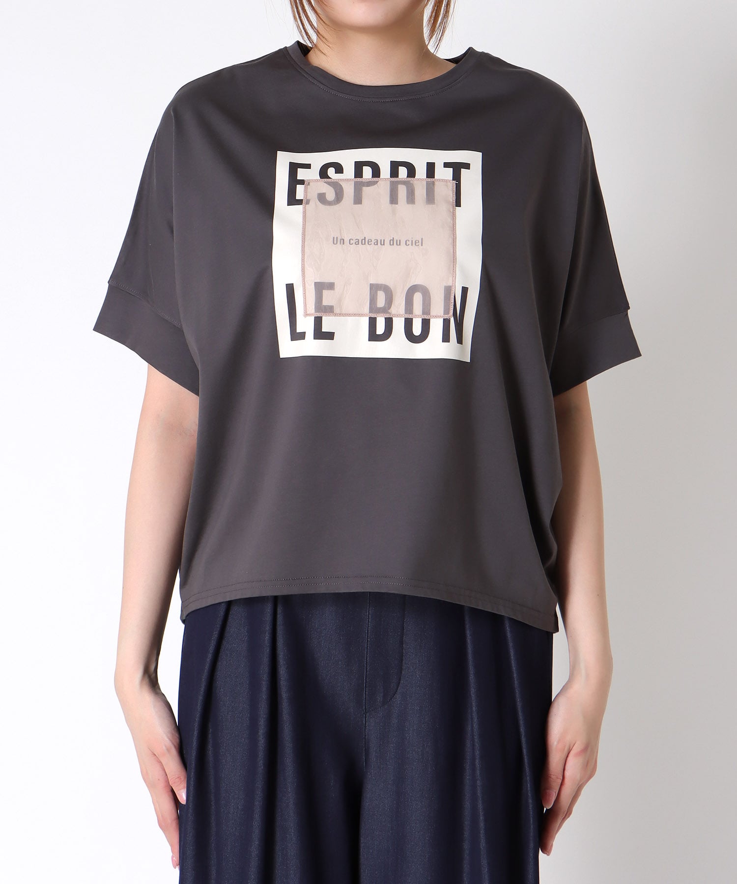 オーガンジーロゴTシャツ