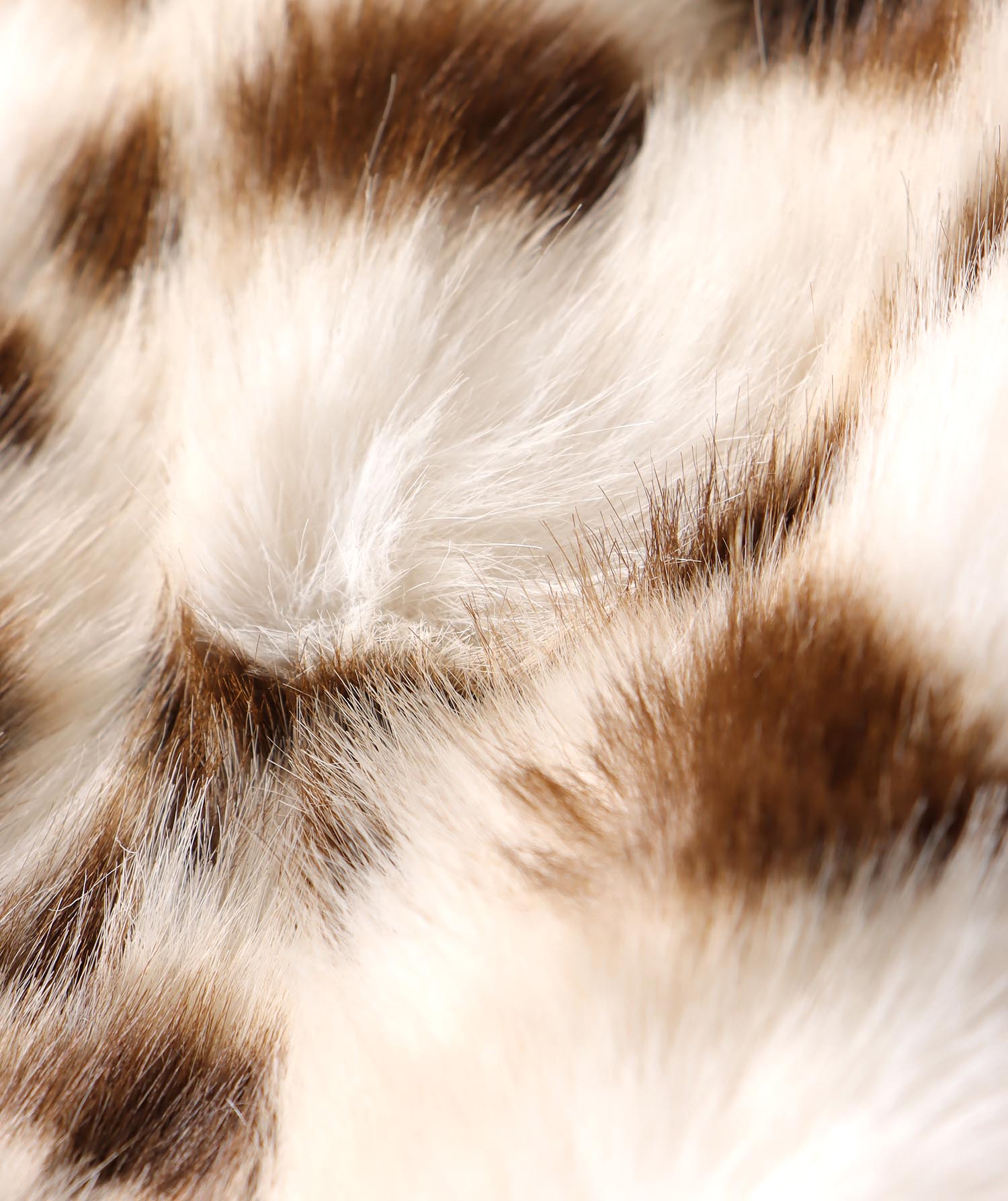 リバーシブルファーティペット