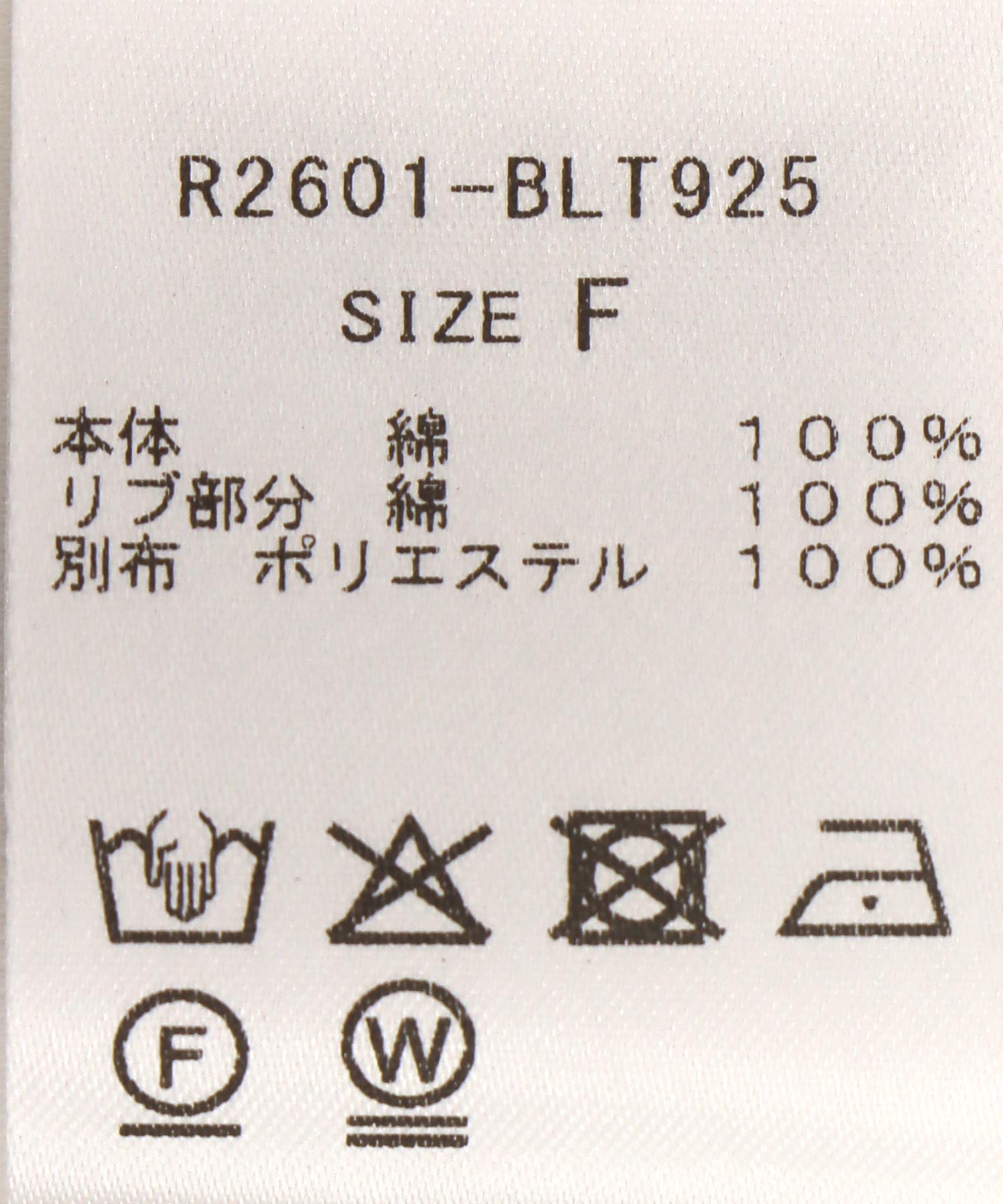 【RISLEY】ビッグロゴロングＴシャツ