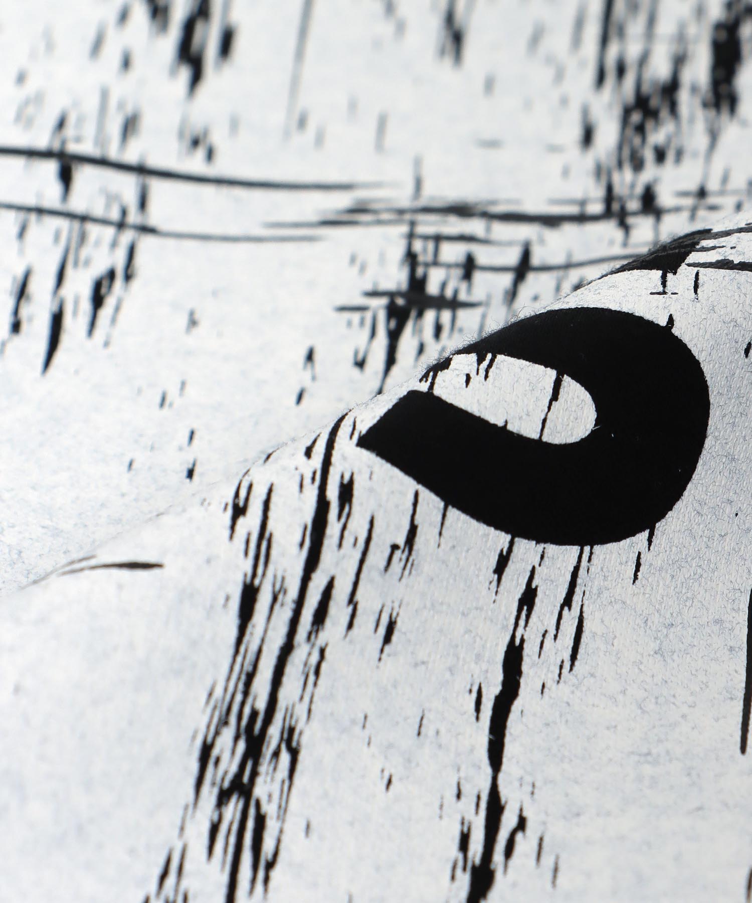 【RISLEY】ビッグロゴロングＴシャツ