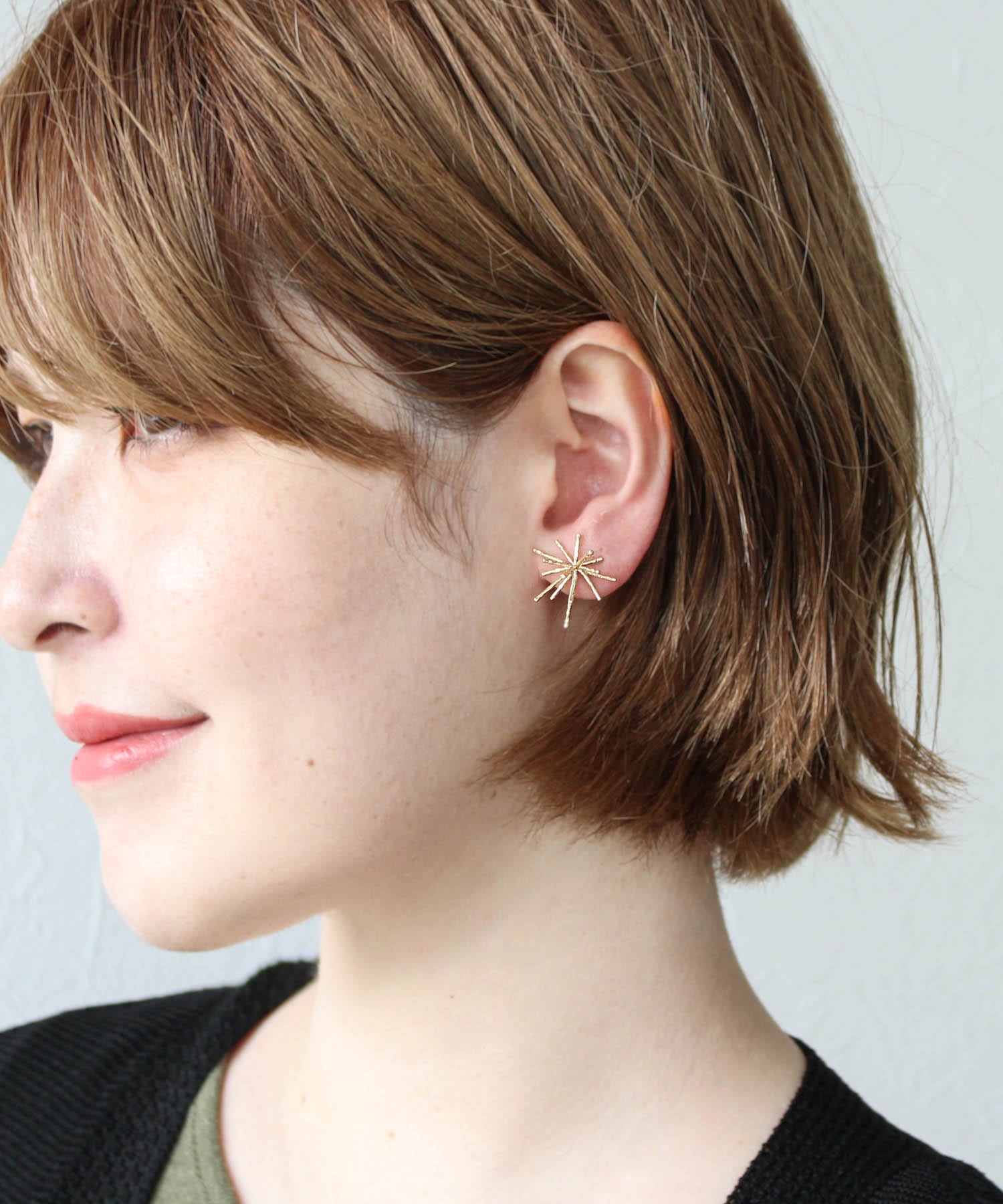 【LIMITED NUMBER】ブライトスターチタンポストピアス