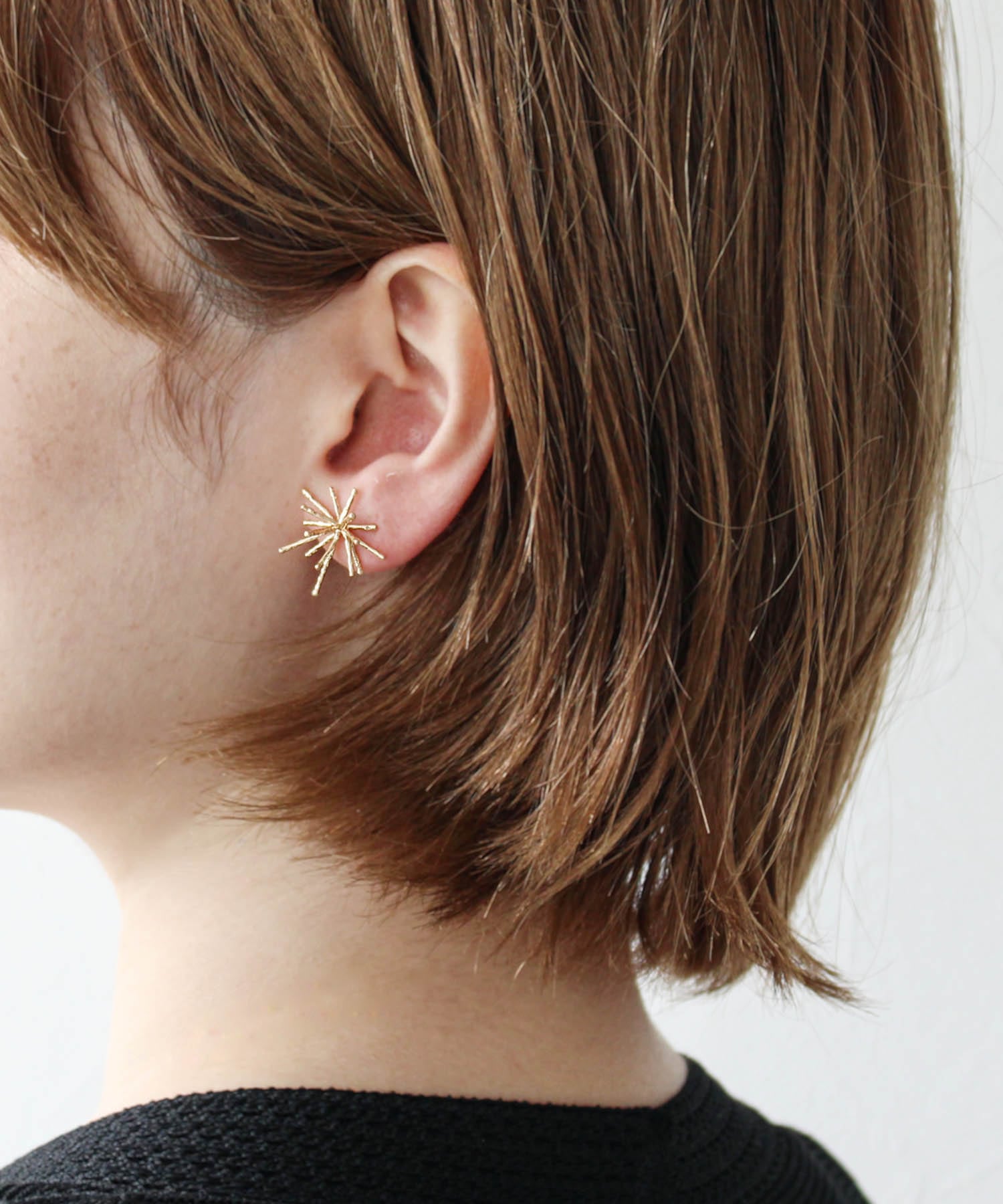 【LIMITED NUMBER】ブライトスターチタンポストピアス