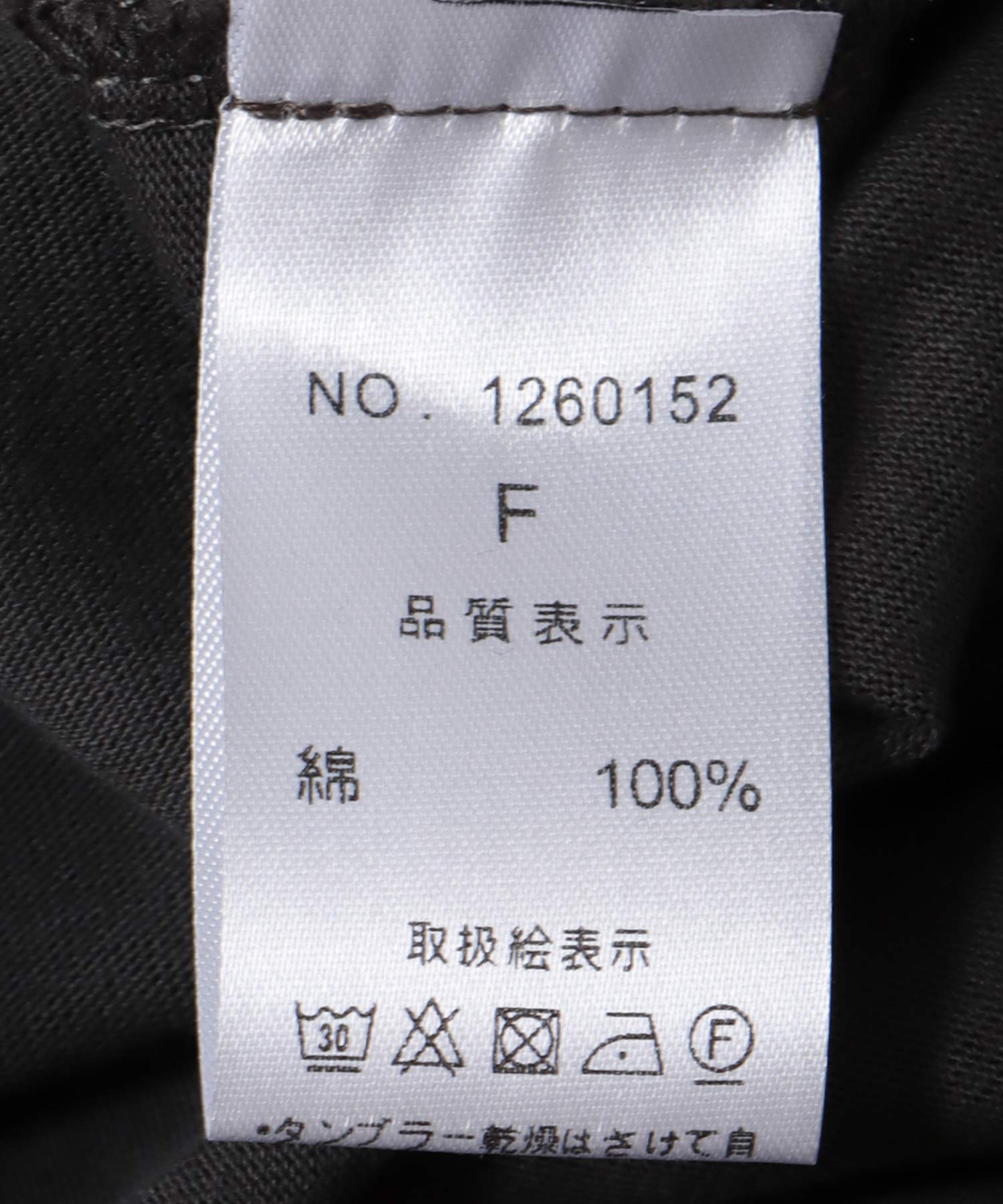 〔お家で試着〕モチーフプリントビッグTシャツ