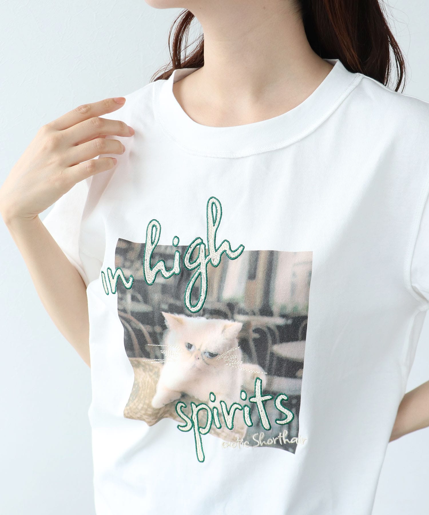 アニマル刺繍プリントＴシャツ