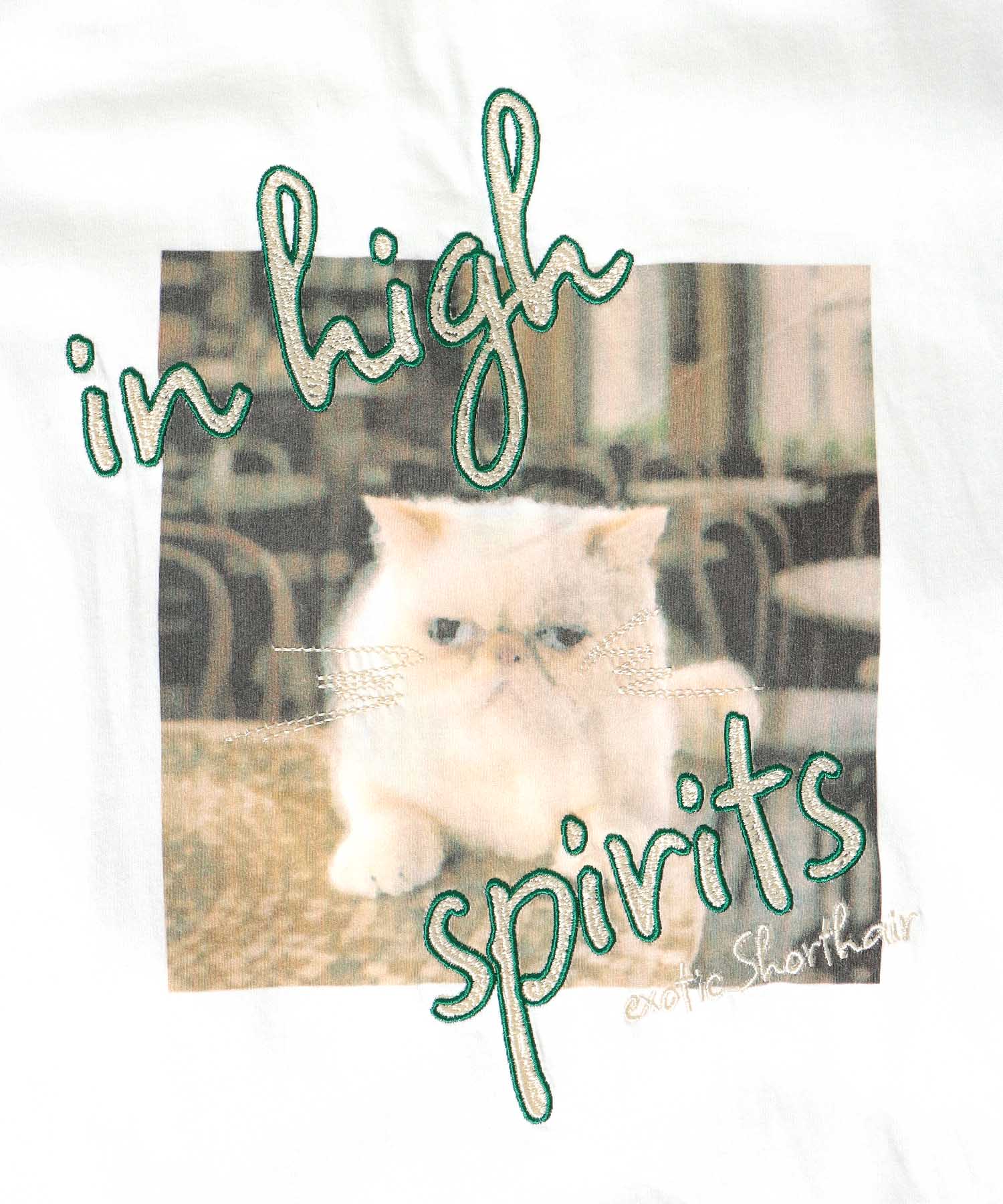 CAT刺繍プリントTシャツワンピース