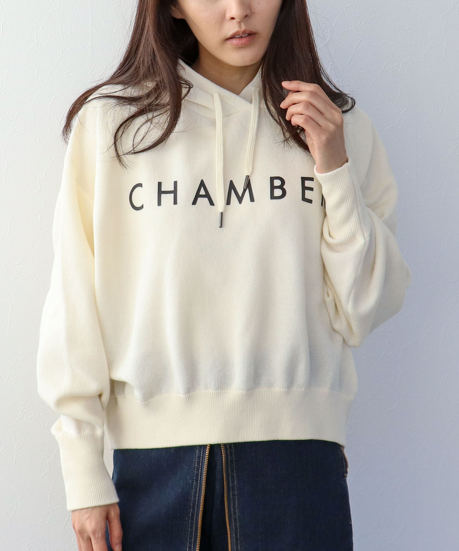 スエットライクロゴパーカー