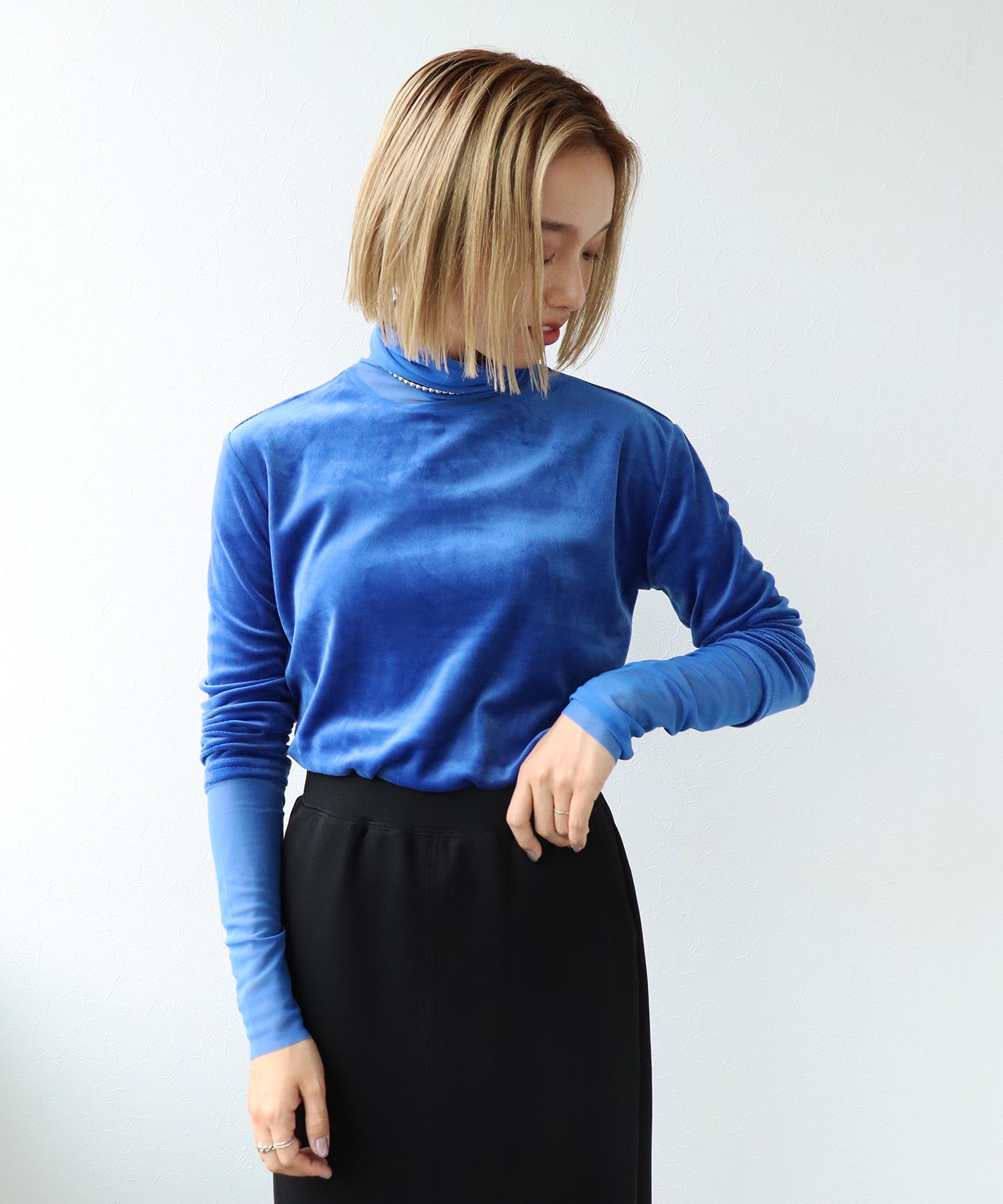 ベロアシアータートル