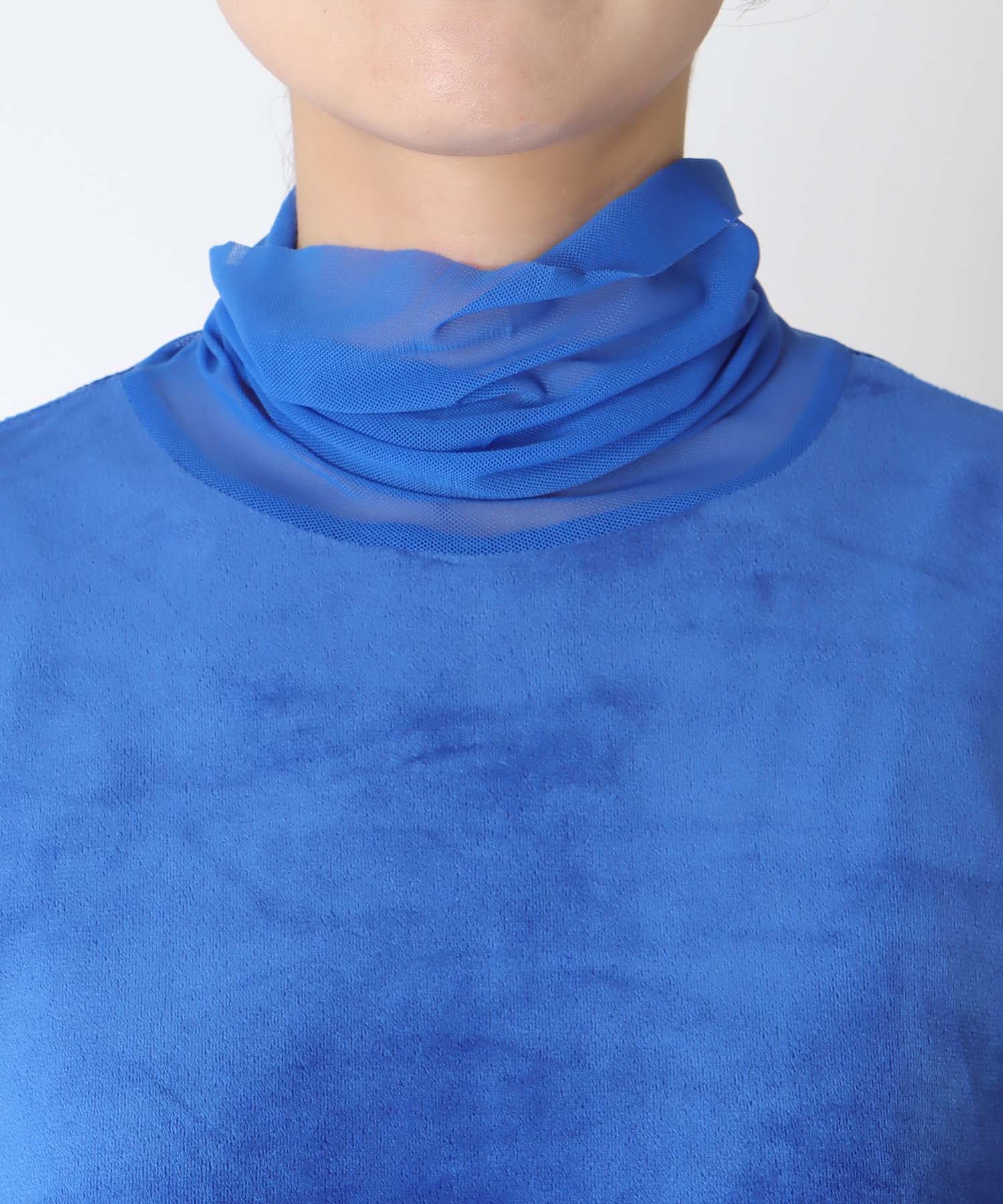 ベロアシアータートル