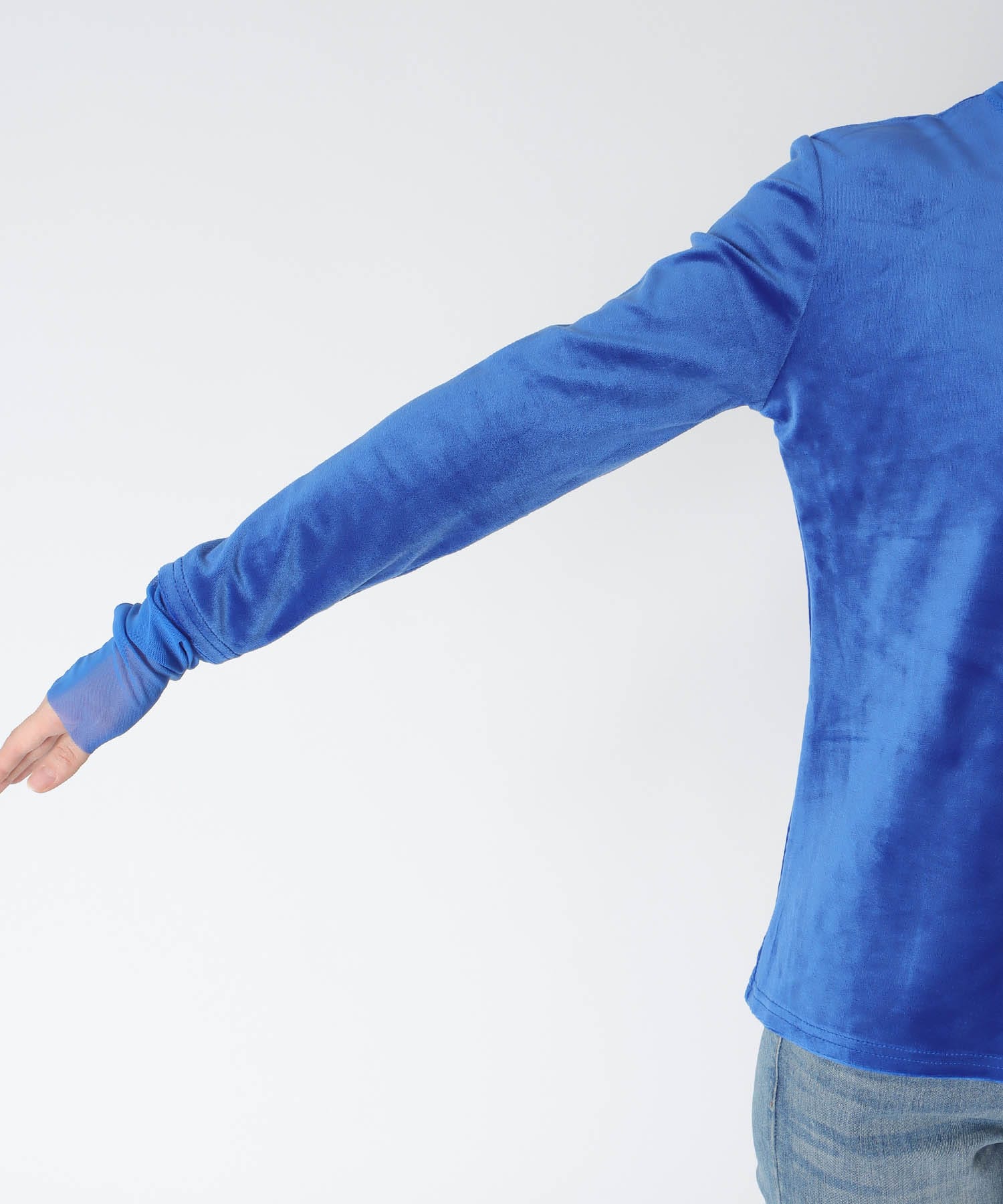 ベロアシアータートル