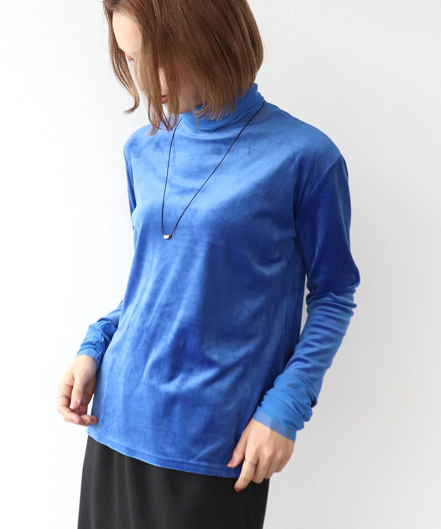 ベロアシアータートル