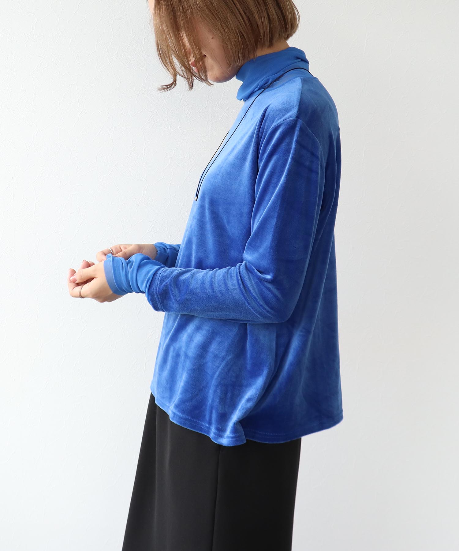 ベロアシアータートル