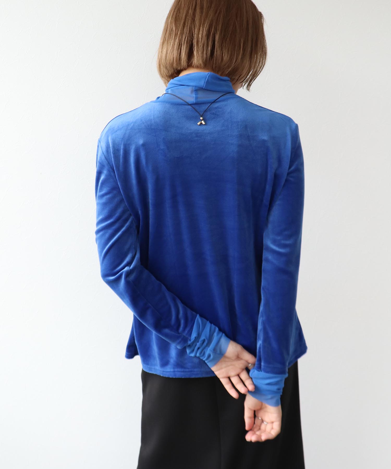 ベロアシアータートル