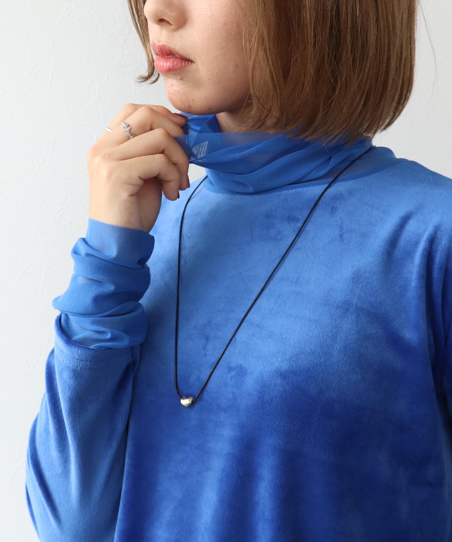 ベロアシアータートル