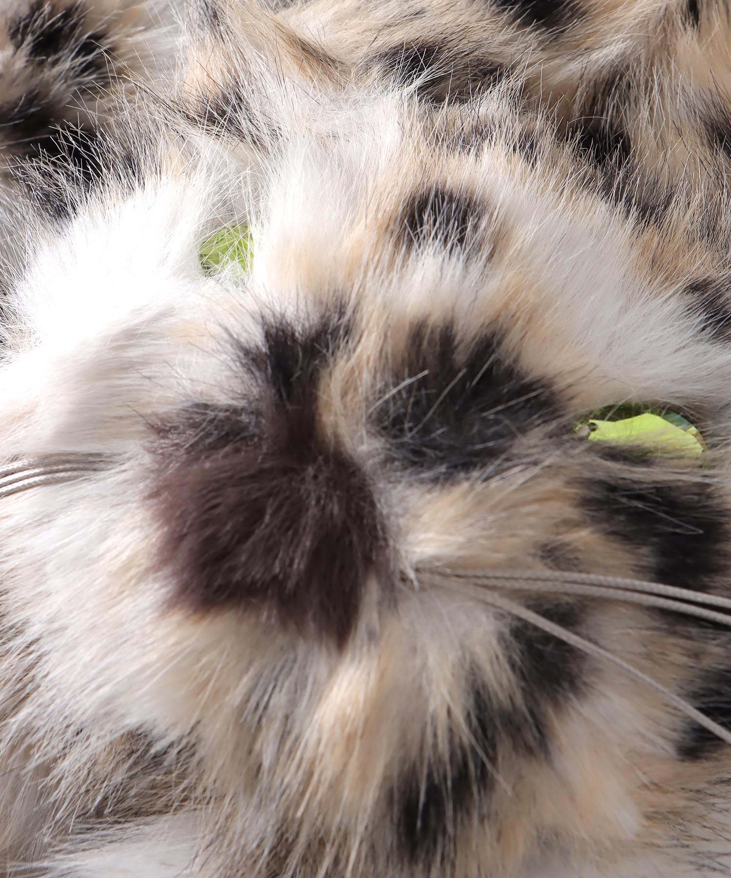 フェイクキャットマフラー