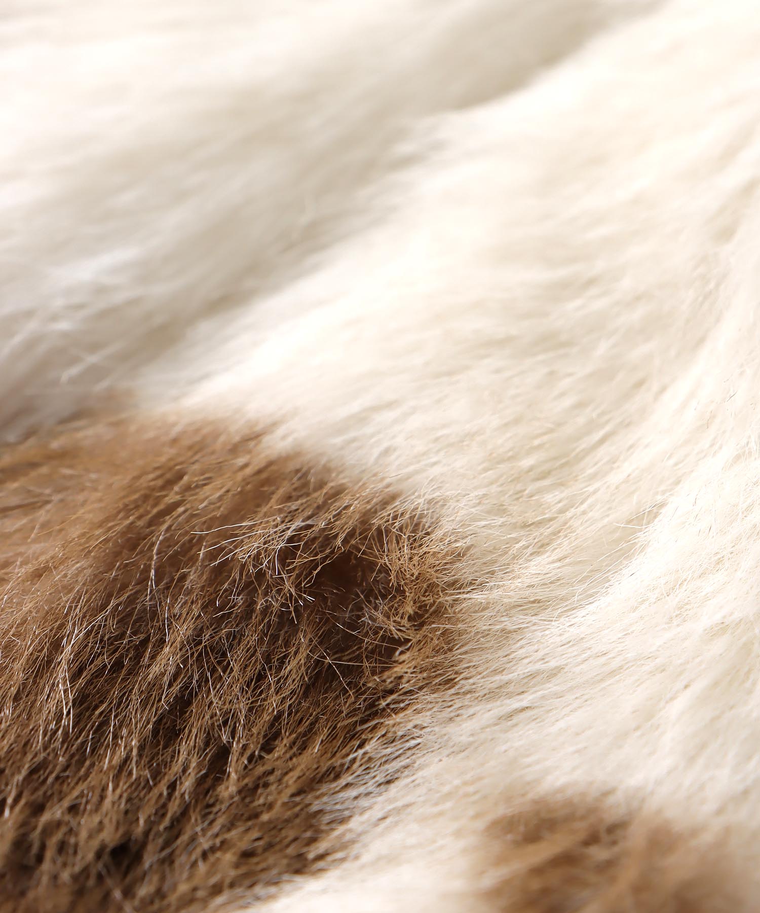 リボンティペット