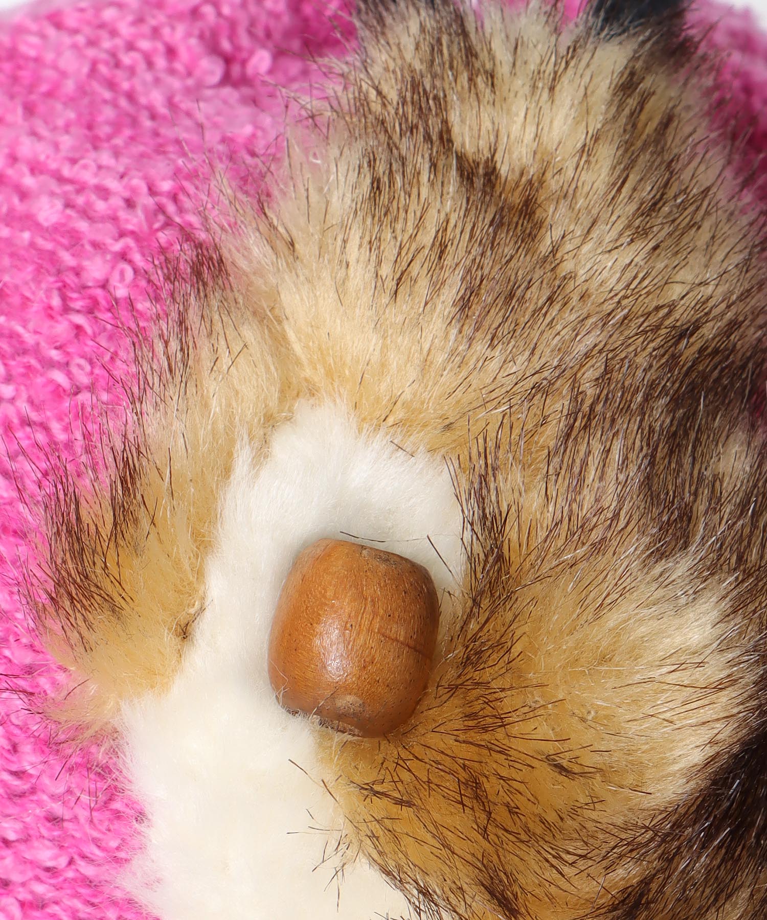 リスのニットキャップ