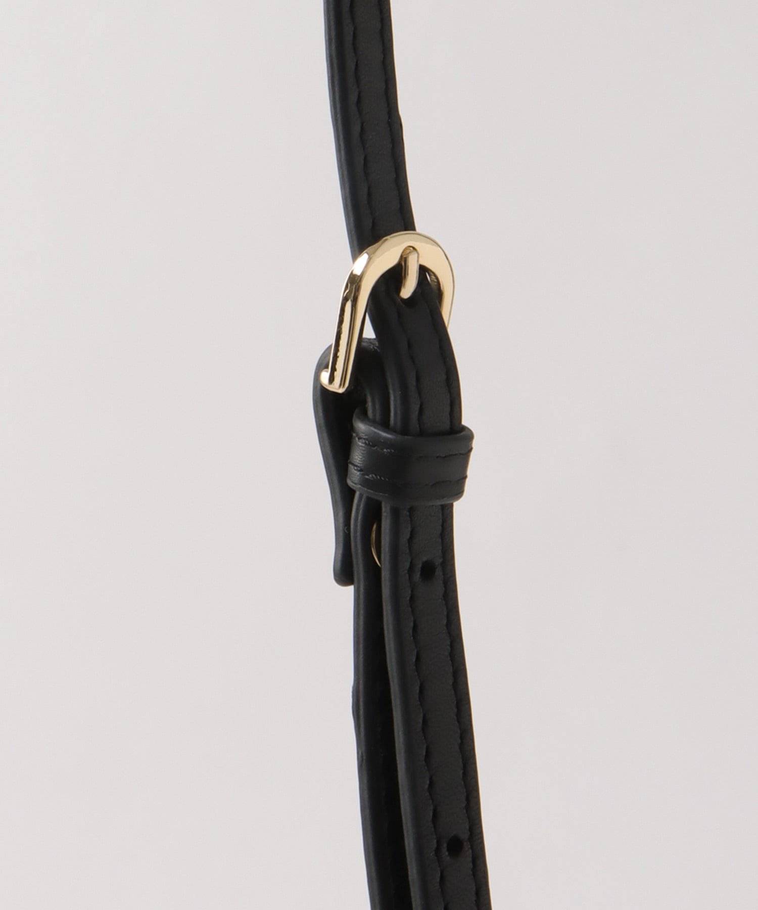 ＜WEB限定＞【tamaoworld】Lewis Wayne Kittens