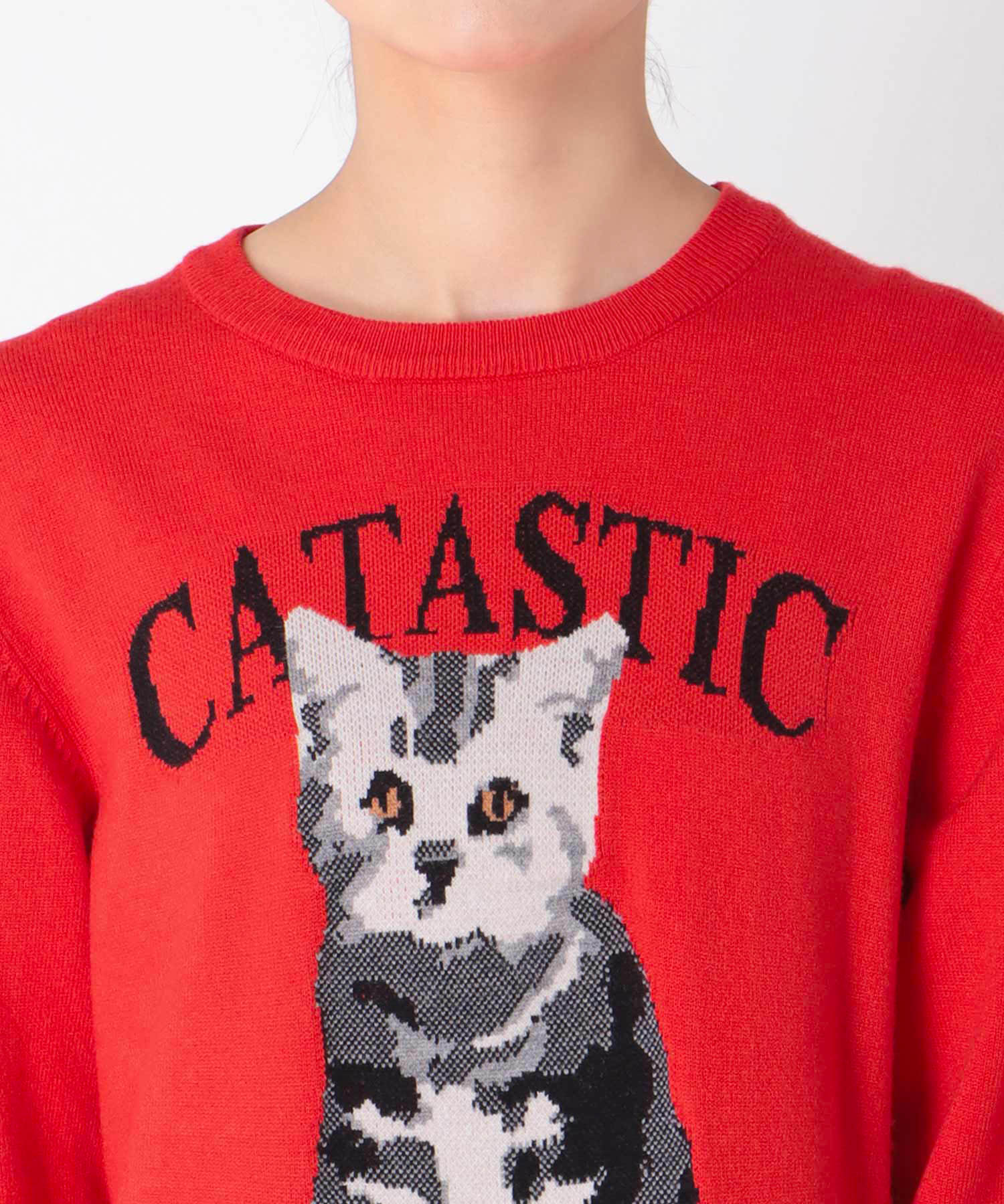 CATASTICジャガードニット