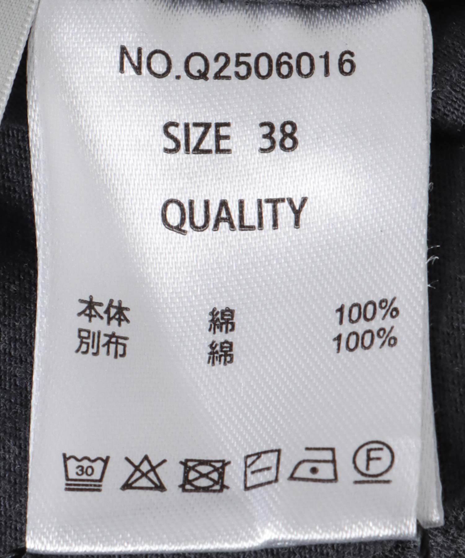 《WEB先行予約》ピグメントロンT