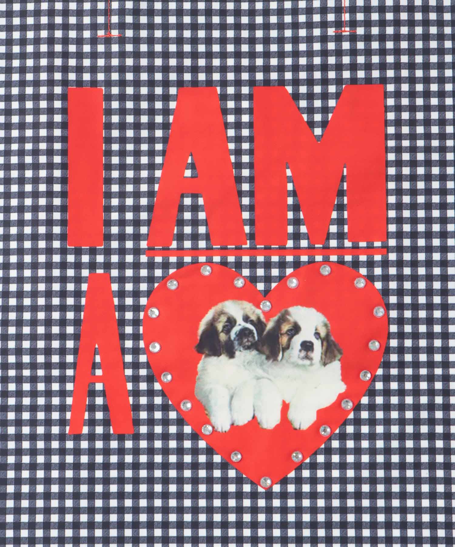 Team DOUBUTSUトート