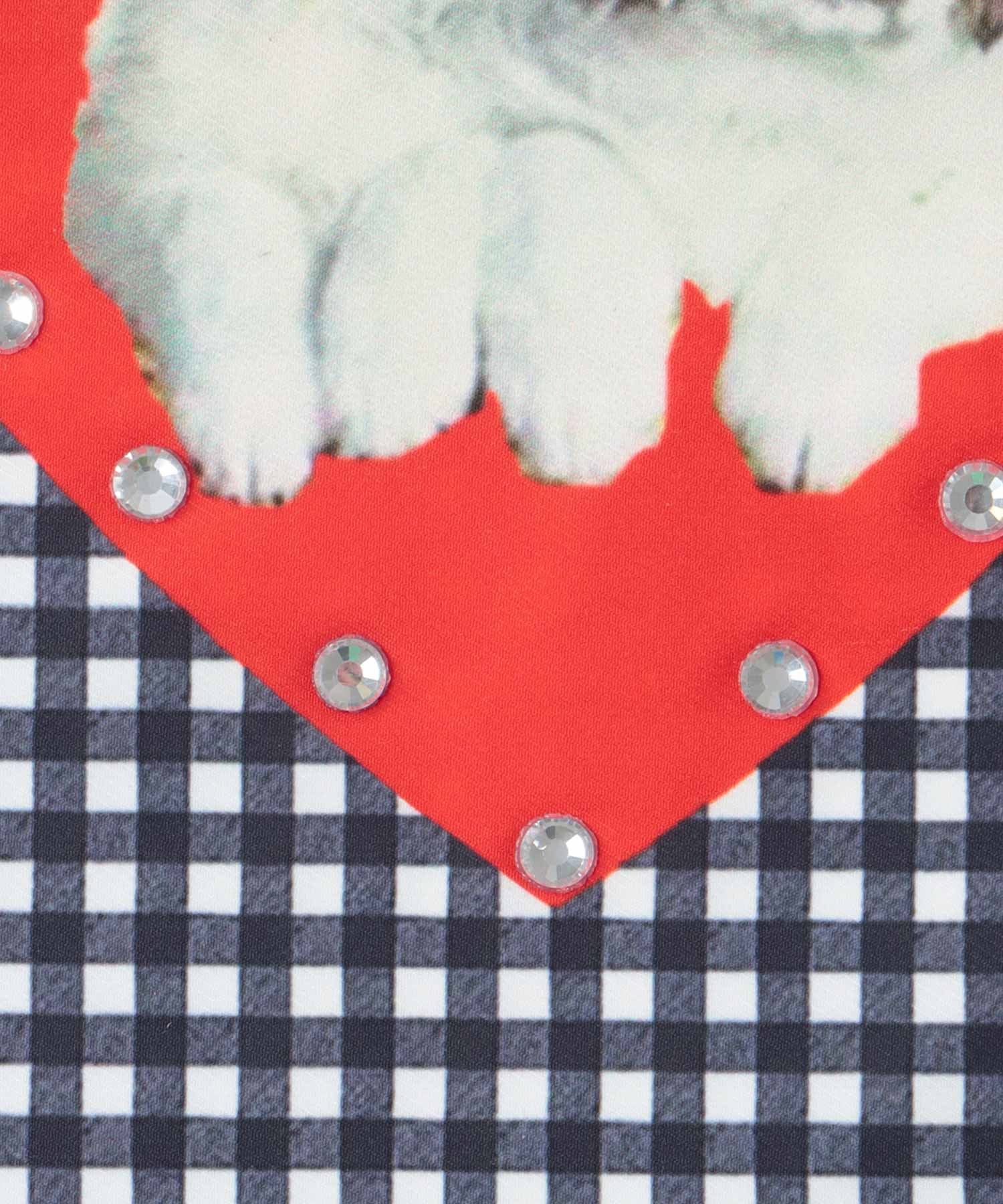 Team DOUBUTSUトート