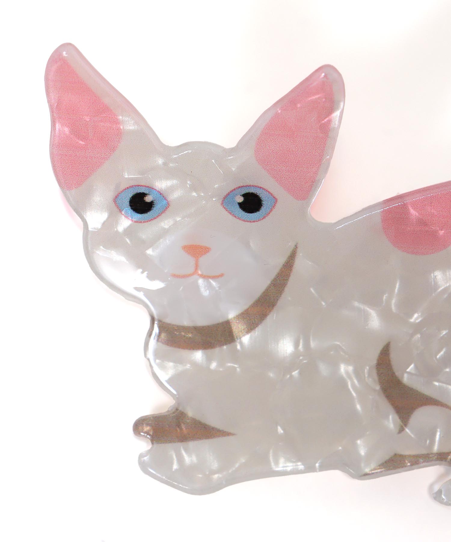 アニマルバンス