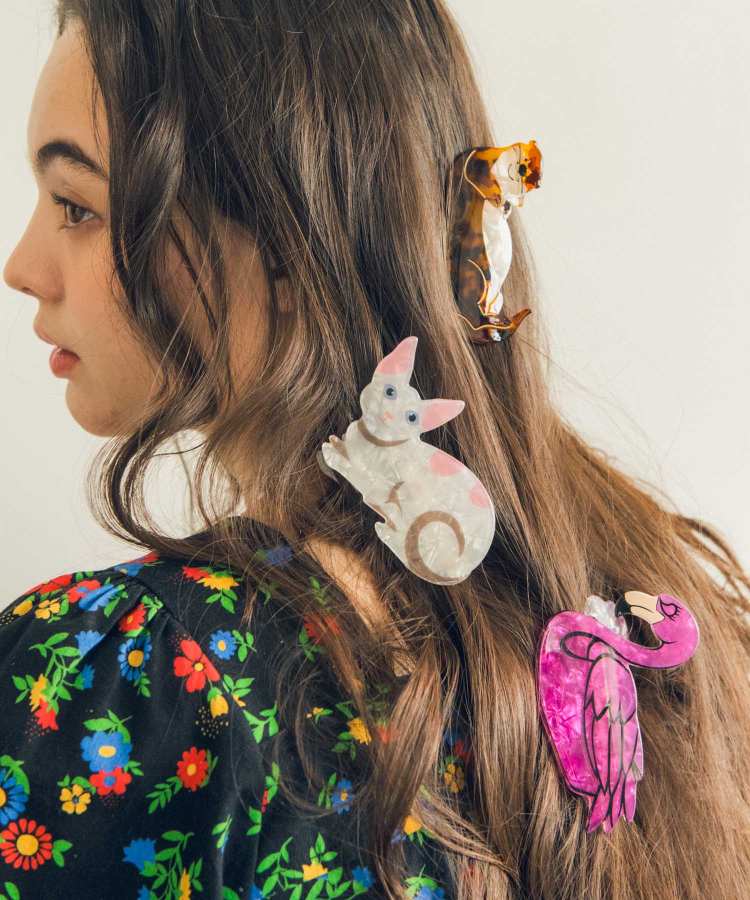 アニマルバンス