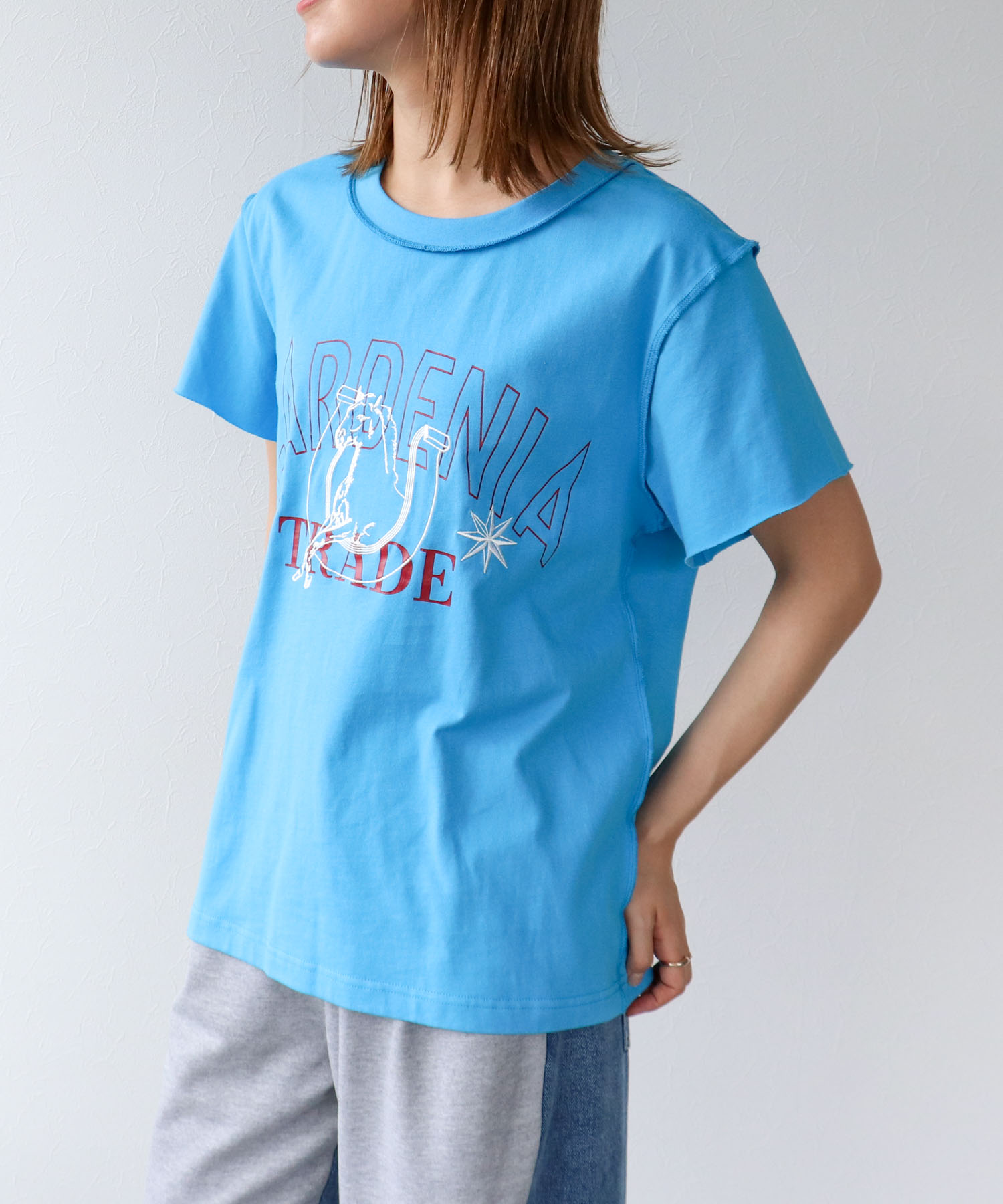 ウマ刺繍カレッジプリントTシャツ