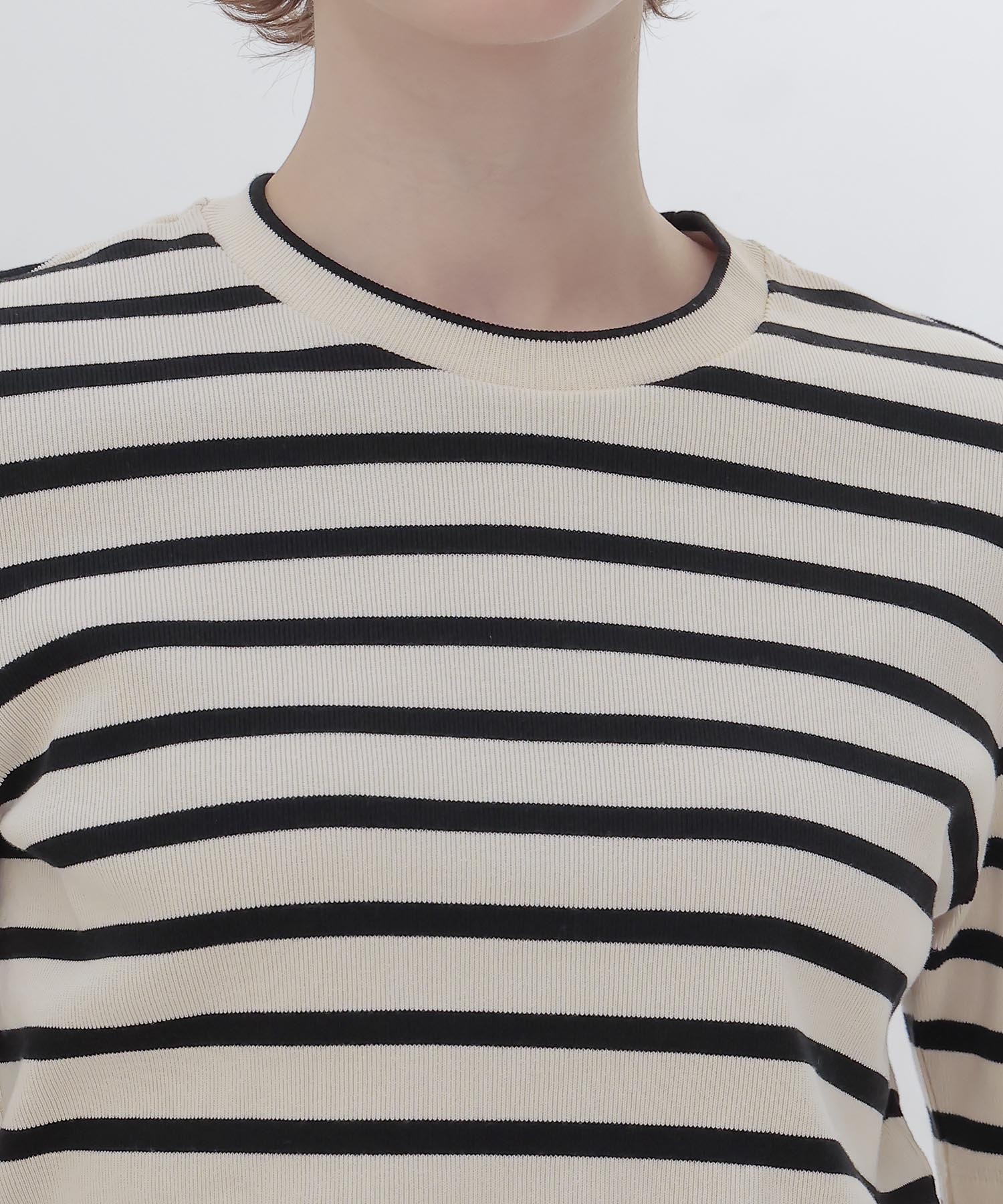 ＜THREE DOTS TURQUOISE × DRESSLAVE＞BORDER HALF SLEEVE TEE