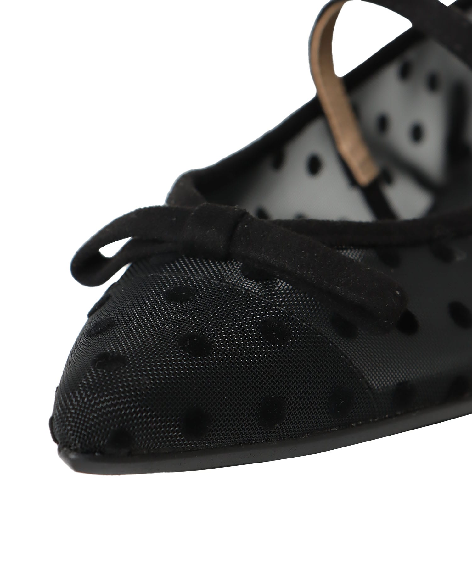 ＜TSURU by Mariko Oikawa＞Kitten