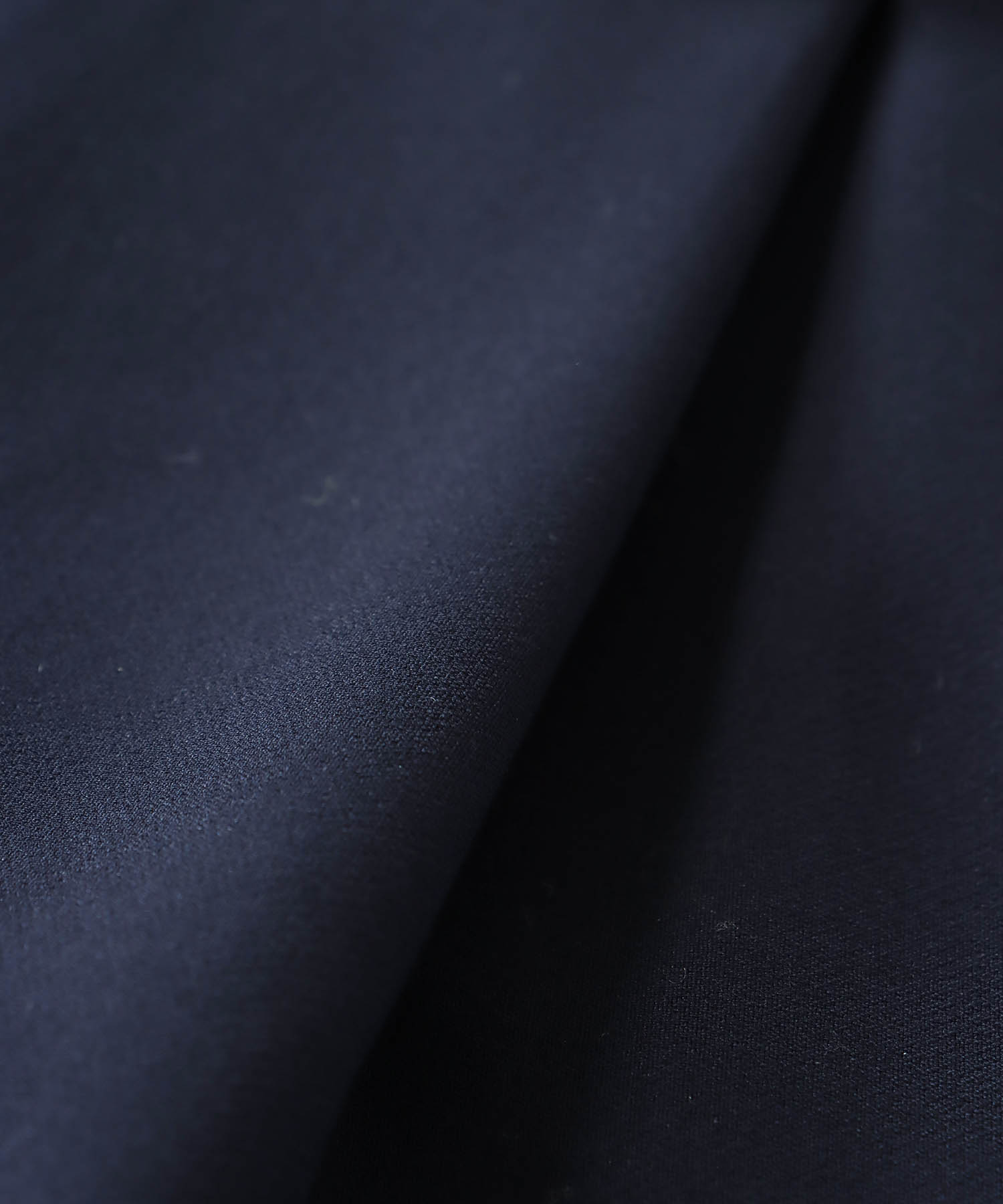 W loop one tuck wide pants