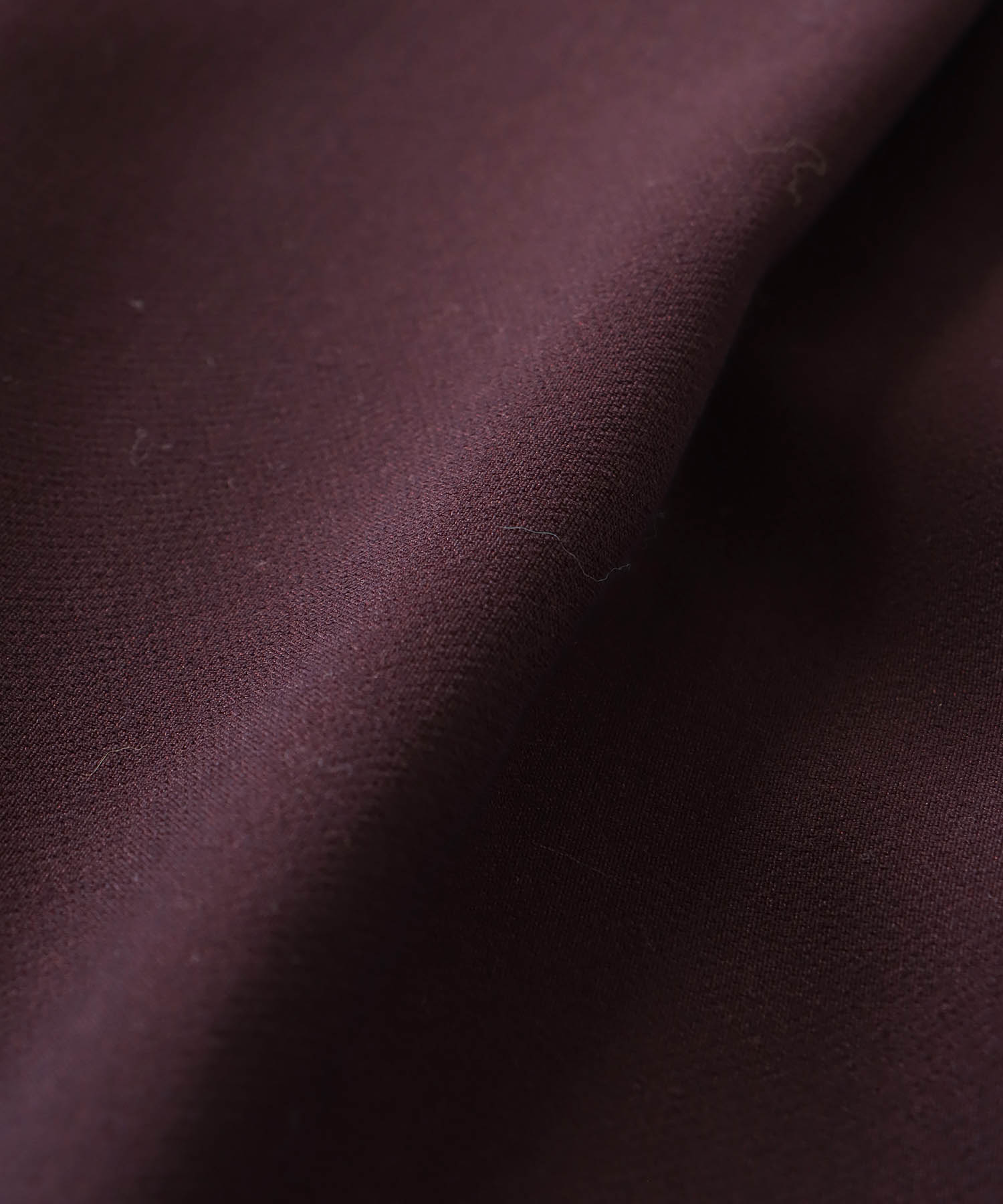 W loop one tuck wide pants