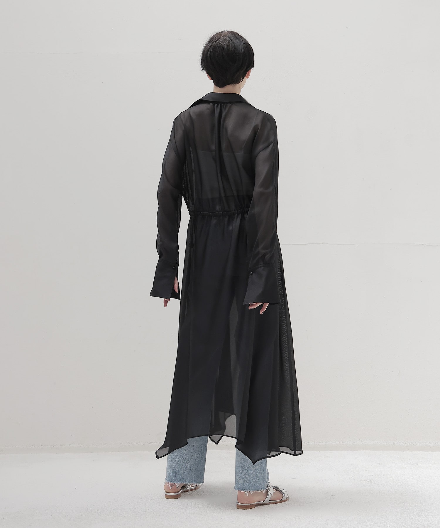 sheer shirt dress