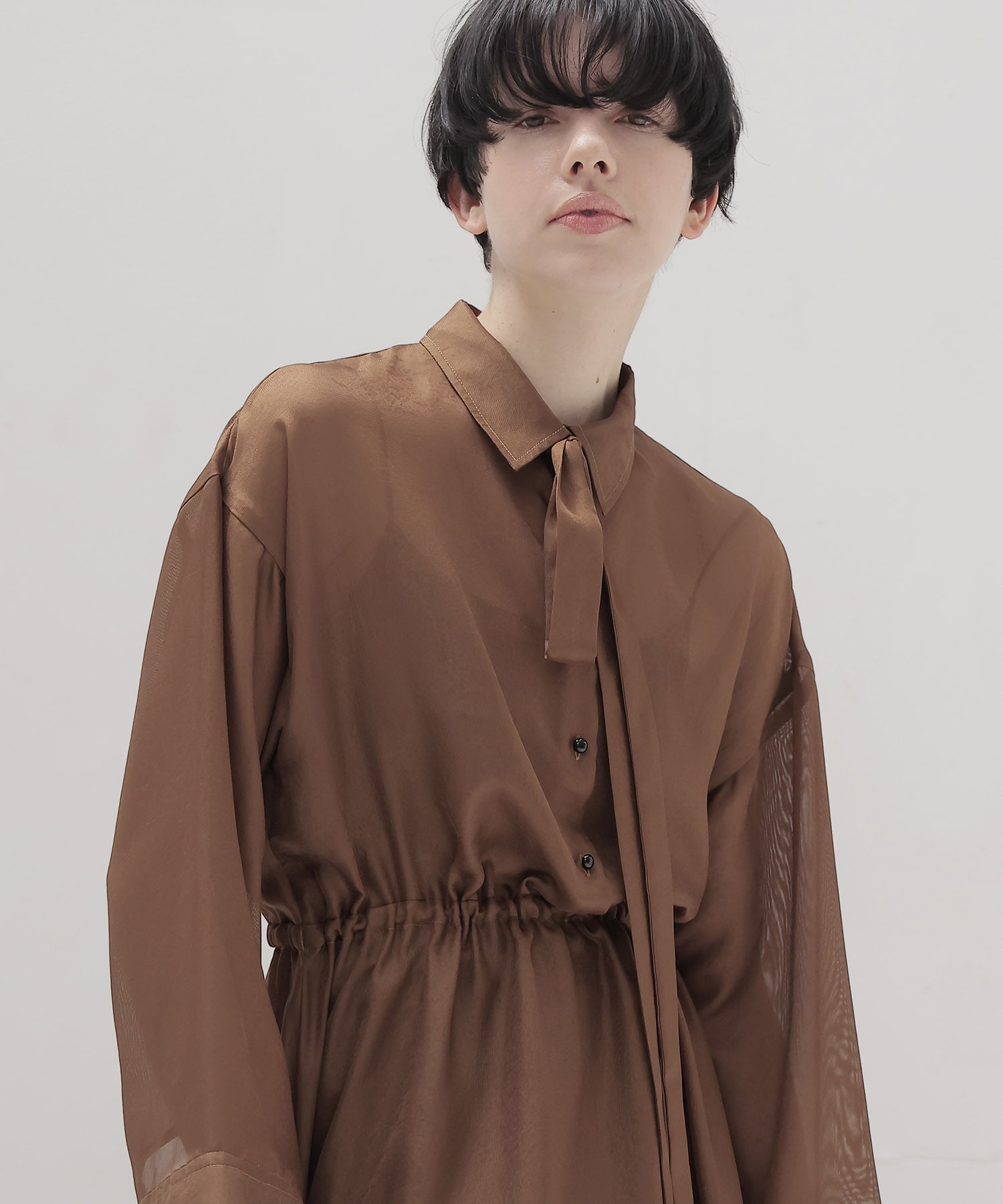 sheer shirt dress