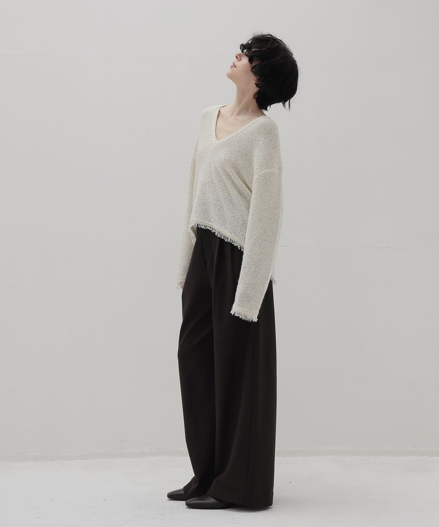 sequins lame deep Vneck pullover